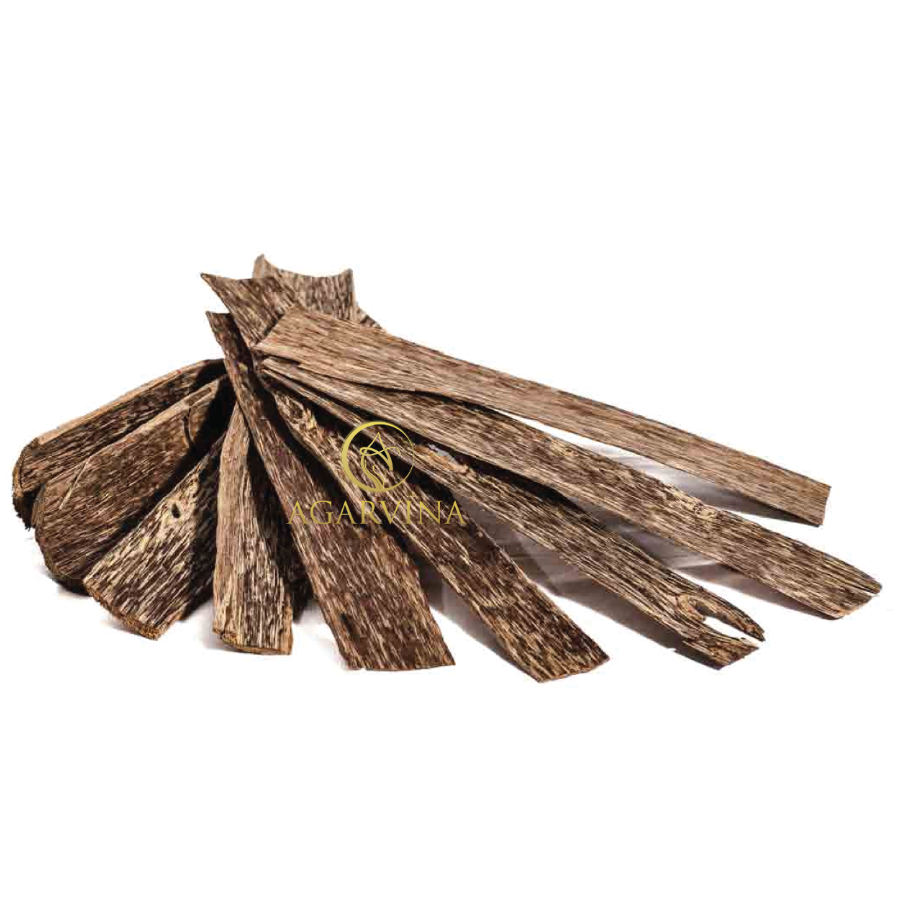 Miếng Trầm Rừng Việt Nam.png